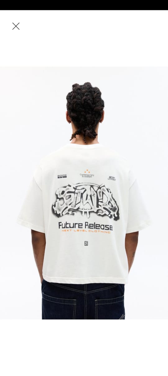 Pull&Bear Stwd Contemporary Ecosistem T-Shirt in White