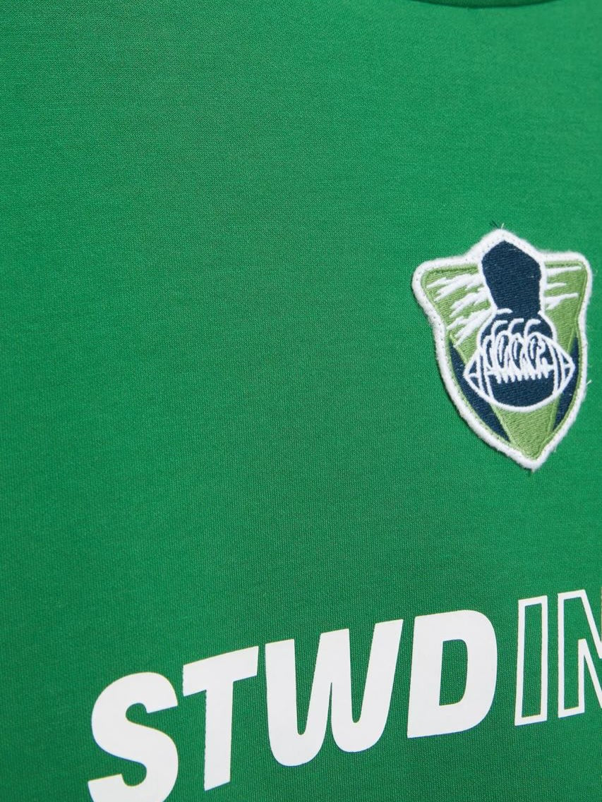 Pull&Bear STWDINTL Green Graphic T-Shirt